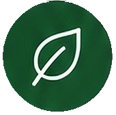 homepagenotext_07